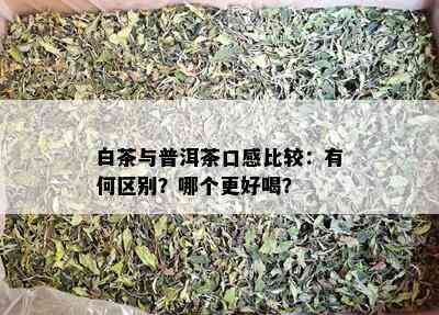 白茶与普洱茶口感比较：有何区别？哪个更好喝？