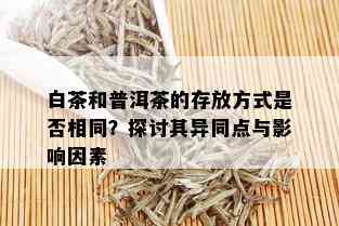 白茶和普洱茶的存放方式是否相同？探讨其异同点与影响因素