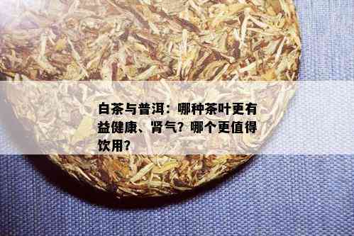 白茶与普洱：哪种茶叶更有益健康、肾气？哪个更值得饮用？