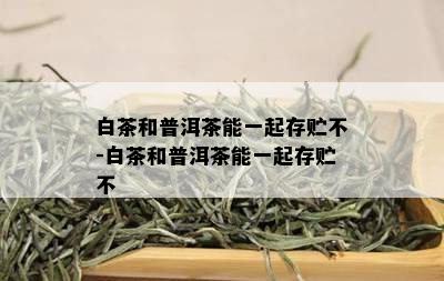 白茶和普洱茶能一起存贮不-白茶和普洱茶能一起存贮不