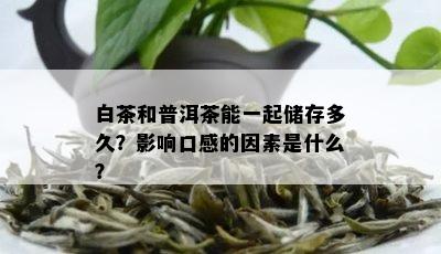 白茶和普洱茶能一起储存多久？影响口感的因素是什么？