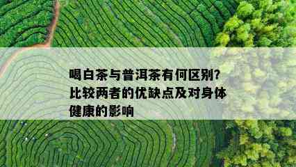 喝白茶与普洱茶有何区别？比较两者的优缺点及对身体健康的影响