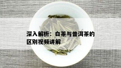 深入解析：白茶与普洱茶的区别视频讲解