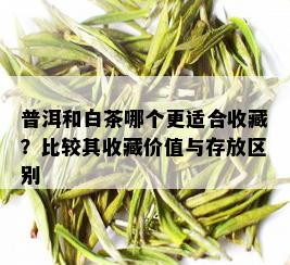 普洱和白茶哪个更适合收藏？比较其收藏价值与存放区别