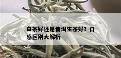 白茶好还是普洱生茶好？口感区别大解析