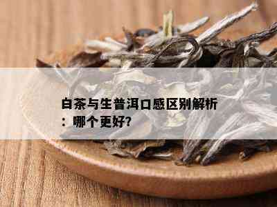 白茶与生普洱口感区别解析：哪个更好？