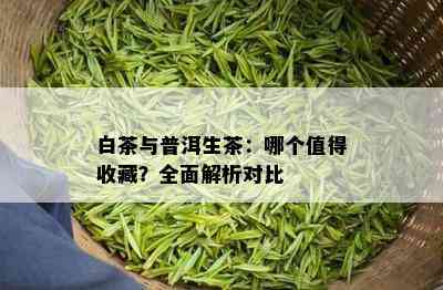 白茶与普洱生茶：哪个值得收藏？全面解析对比