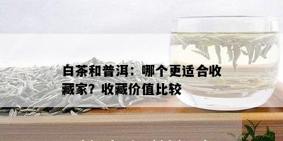 白茶和普洱：哪个更适合收藏家？收藏价值比较