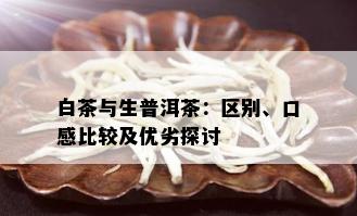 白茶与生普洱茶：区别、口感比较及优劣探讨