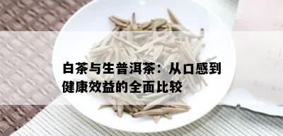 白茶与生普洱茶：从口感到健康效益的全面比较