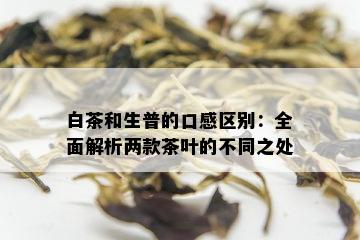 白茶和生普的口感区别：全面解析两款茶叶的不同之处