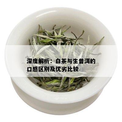 深度解析：白茶与生普洱的口感区别及优劣比较