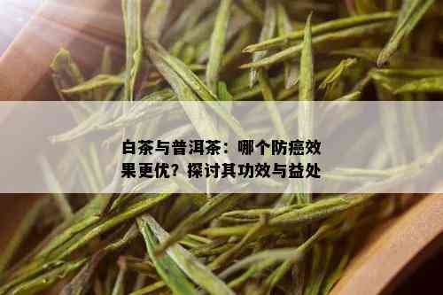 白茶与普洱茶：哪个防癌效果更优？探讨其功效与益处