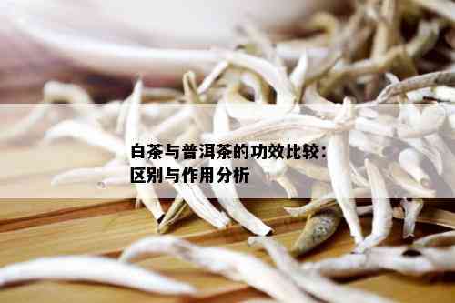 白茶与普洱茶的功效比较：区别与作用分析