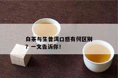 白茶与生普洱口感有何区别？一文告诉你！