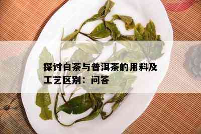 探讨白茶与普洱茶的用料及工艺区别：问答