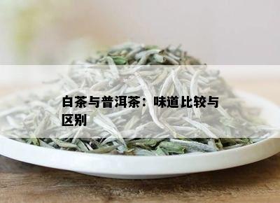 白茶与普洱茶：味道比较与区别