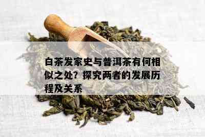 白茶发家史与普洱茶有何相似之处？探究两者的发展历程及关系