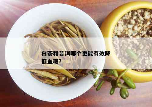 白茶和普洱哪个更能有效降低血糖？