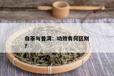 白茶与普洱：功效有何区别？