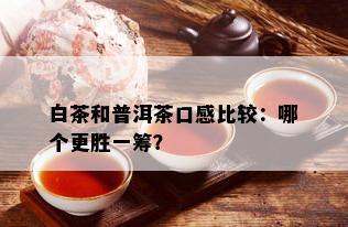 白茶和普洱茶口感比较：哪个更胜一筹？