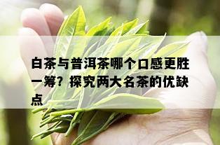 白茶与普洱茶哪个口感更胜一筹？探究两大名茶的优缺点