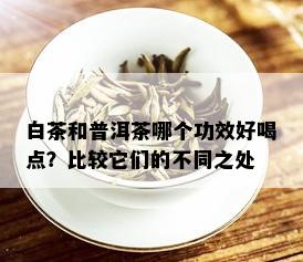 白茶和普洱茶哪个功效好喝点？比较它们的不同之处