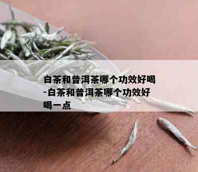 白茶和普洱茶哪个功效好喝-白茶和普洱茶哪个功效好喝一点