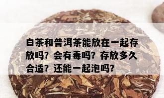 白茶和普洱茶能放在一起存放吗？会有吗？存放多久合适？还能一起泡吗？