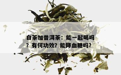 白茶加普洱茶：能一起喝吗？有何功效？能降血糖吗？