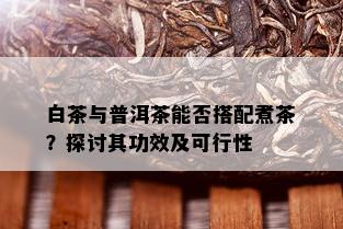 白茶与普洱茶能否搭配煮茶？探讨其功效及可行性