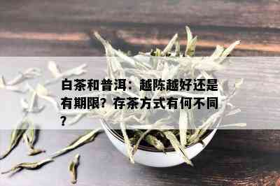 白茶和普洱：越陈越好还是有期限？存茶方式有何不同？