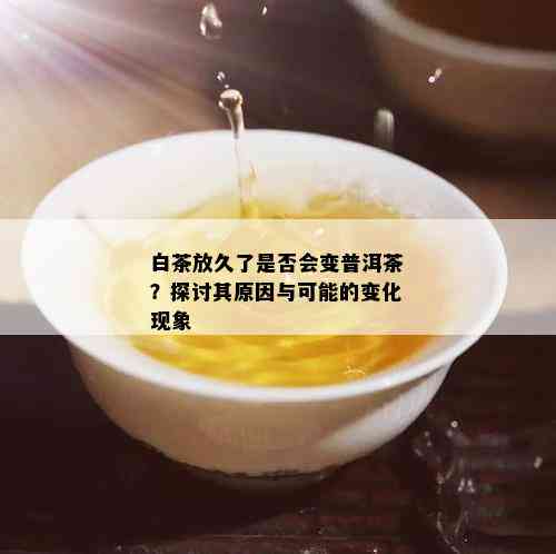 白茶放久了是否会变普洱茶？探讨其原因与可能的变化现象