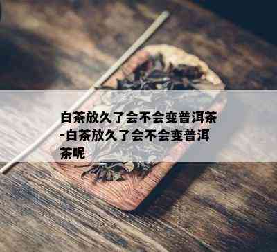 白茶放久了会不会变普洱茶-白茶放久了会不会变普洱茶呢