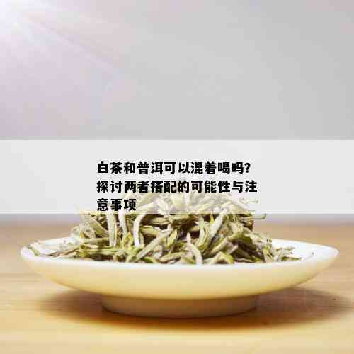 白茶和普洱可以混着喝吗？探讨两者搭配的可能性与注意事项