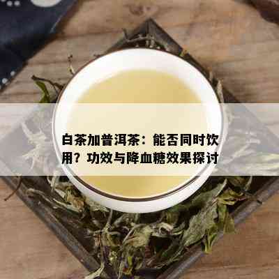 白茶加普洱茶：能否同时饮用？功效与降血糖效果探讨