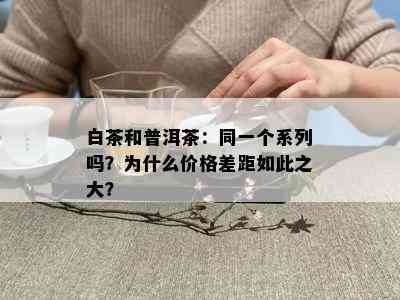 白茶和普洱茶：同一个系列吗？为什么价格差距如此之大？