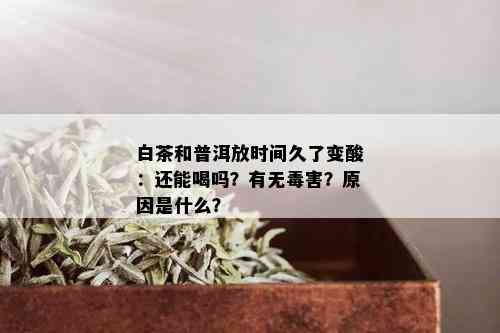 白茶和普洱放时间久了变酸：还能喝吗？有无害？原因是什么？