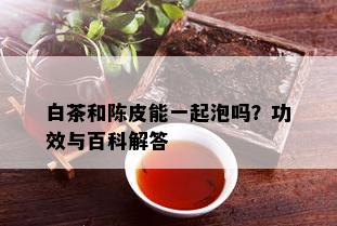 白茶和陈皮能一起泡吗？功效与百科解答