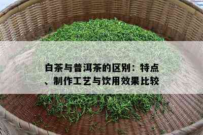 白茶与普洱茶的区别：特点、制作工艺与饮用效果比较