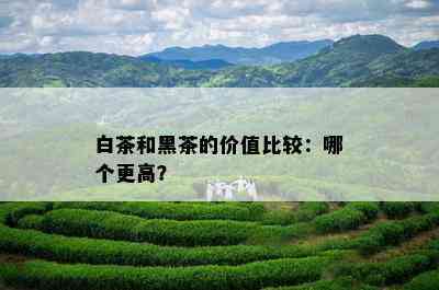 白茶和黑茶的价值比较：哪个更高？