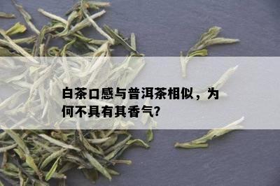 白茶口感与普洱茶相似，为何不具有其香气？
