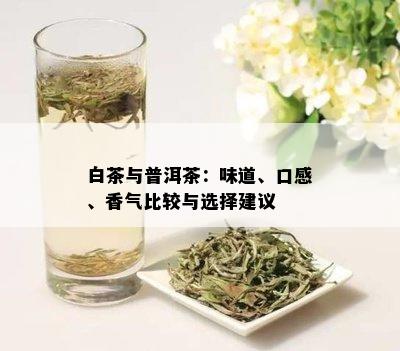 白茶与普洱茶：味道、口感、香气比较与选择建议