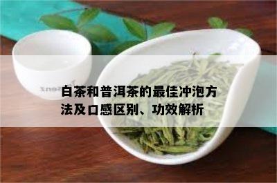 白茶和普洱茶的更佳冲泡方法及口感区别、功效解析