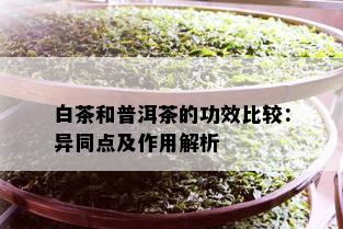 白茶和普洱茶的功效比较：异同点及作用解析