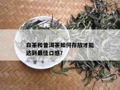 白茶和普洱茶如何存放才能达到更佳口感？