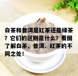 白茶和普洱是红茶还是绿茶？它们的区别是什么？看图了解白茶、普洱、红茶的不同之处！