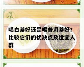 喝白茶好还是喝普洱茶好？比较它们的优缺点及适宜人群