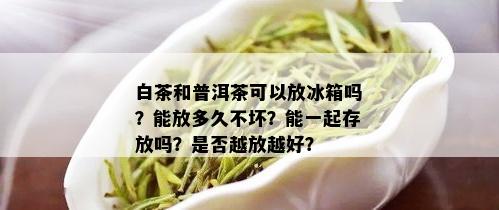 白茶和普洱茶可以放冰箱吗？能放多久不坏？能一起存放吗？是否越放越好？