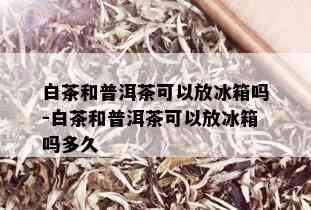 白茶和普洱茶可以放冰箱吗-白茶和普洱茶可以放冰箱吗多久